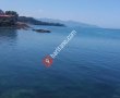 Ulusoy-tirebolu Şubesi