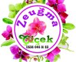 Zeugma Çiçekçilik