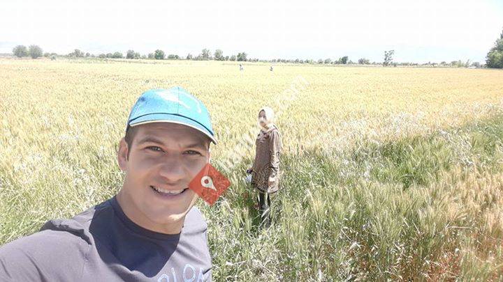 346 Sayılı Sarayköy Tarım kredi Kooperatifi