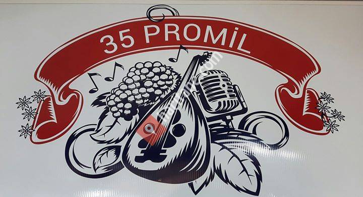 35 Promil