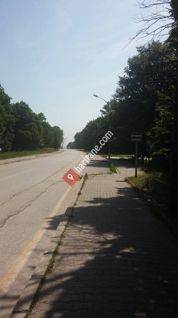 Abant İzzet Baysal Üniversitesi Bolu Sağlık Yüksek Okulu