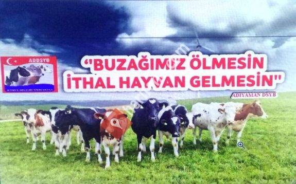 Adıyaman Damızlık Sığır Yetiştiricileri Birliği