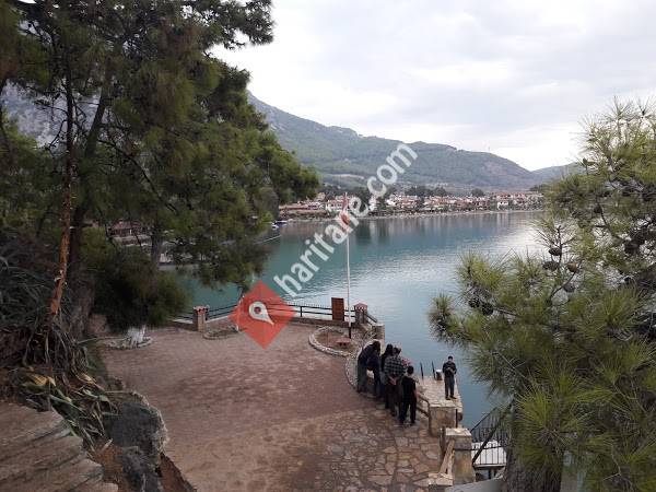 Afyon Kocatepe Üniversitesi Teknoloji Fakültesi