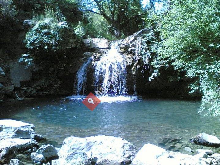 Akçaalan Köyü