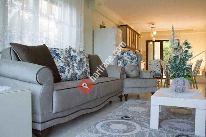 Akyaka Mirbasu villa's