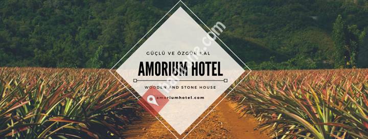 Amorium Otel Wooden&Stone House