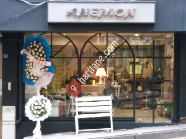 ANEMON Duvar Kağıdı & Dekorasyon