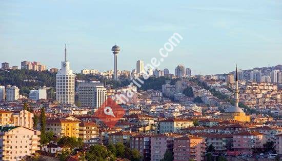 Ankara Araç Alım Satım Tamir Bakım Jant&Lastik