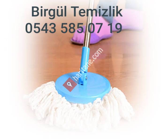 Ankara Birgül Temizlik