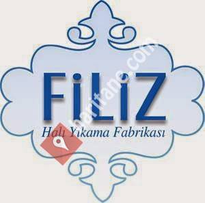 Ankara Filiz Halı Yıkama Fabrikası