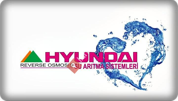 Ankara Hyundai SU Aritma