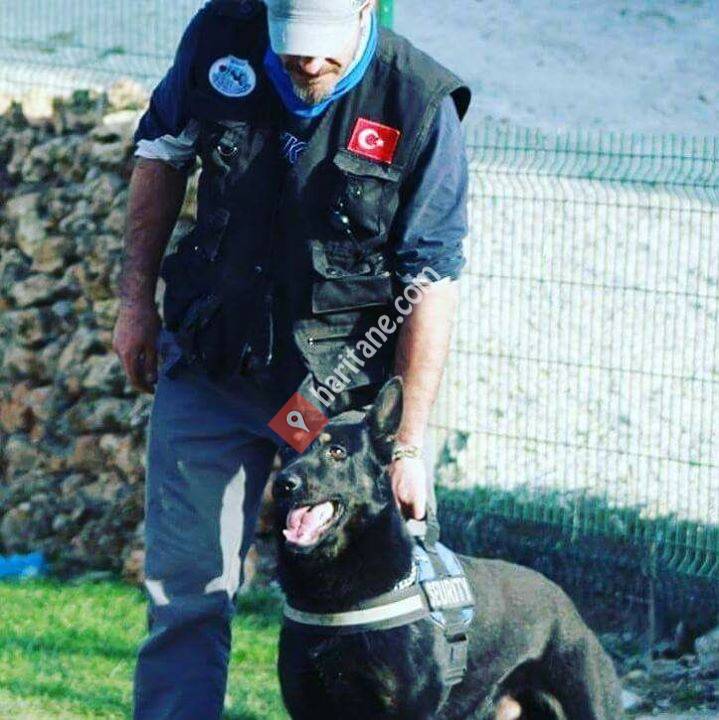 Ankara Köpek Eğitim