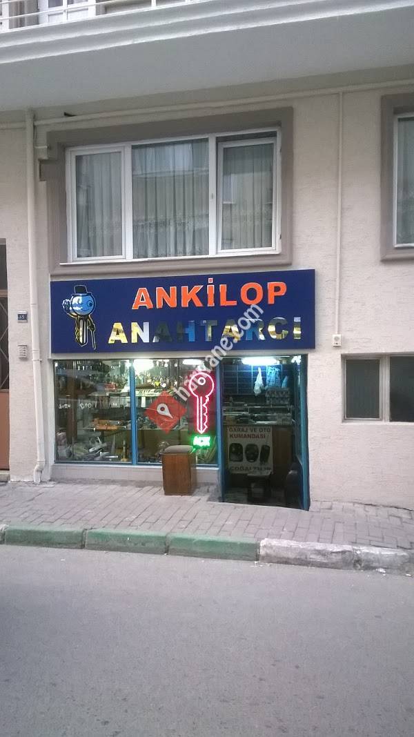Ankilop Anahtar