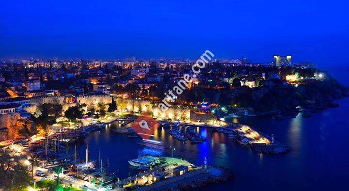 Antalya DENİZ Ticaret