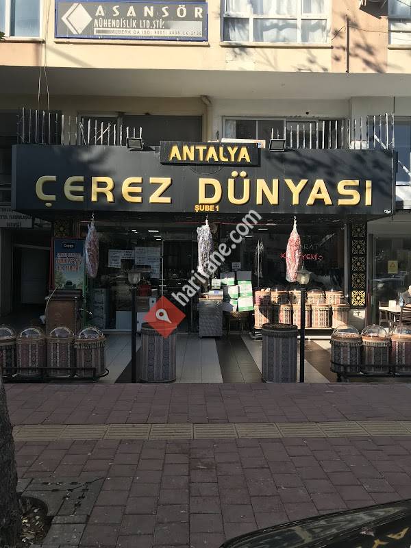 Antalya Kuruyemiş