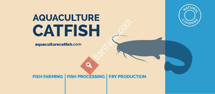 Aquaculture Catfish