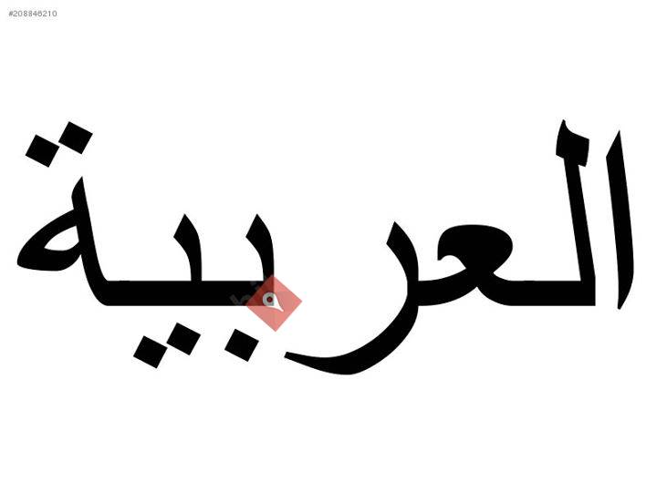 Arapca ozel ders verilir