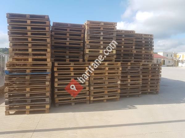 ARARAT ORMAN ÜRÜNLERİ A.Ş.