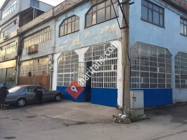 Arı Oto Elektrik Elektronik Klima