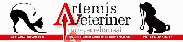 Artemis Veteriner Kliniği