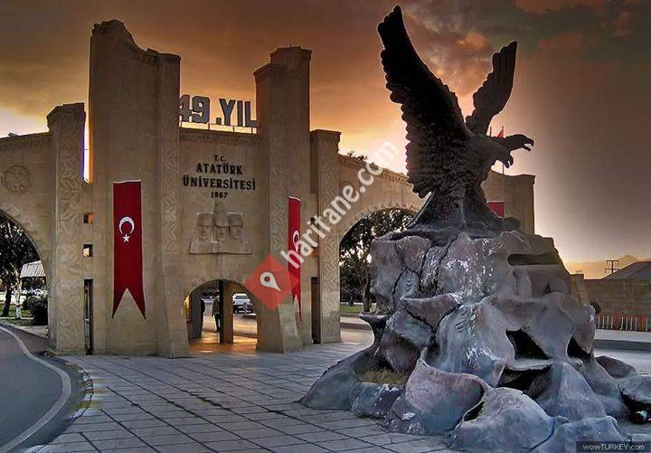 Atatürk Üniversitesi Çocuk Gelişimi Soru Çözümü