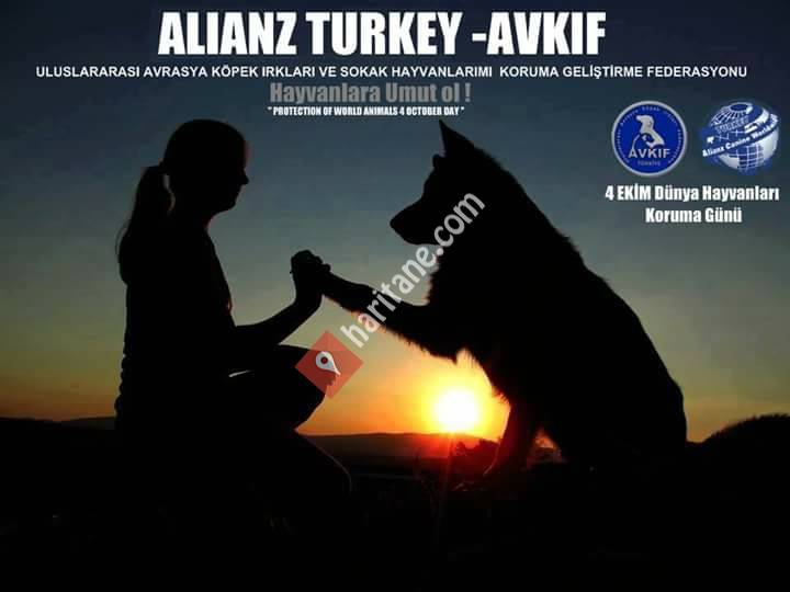 AVKIF Turkey - Avrasya Köpek Irkları ve Sokak Köpekleri Koruma Federasyonu