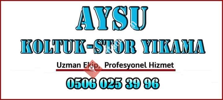 aysu hali yikama mustafakemalpasa