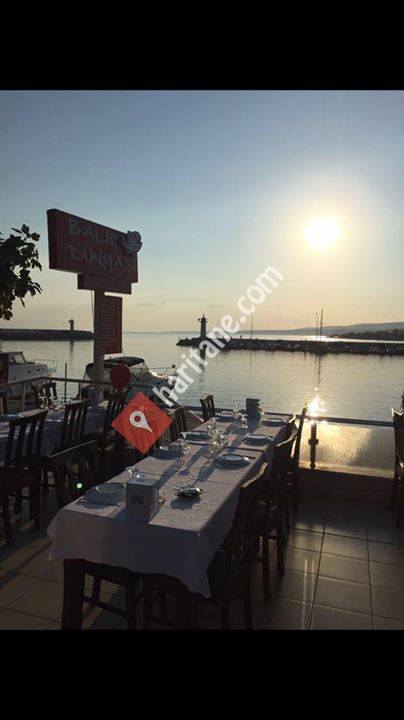 Balık Dünyası Restorant,Şarköy Marina