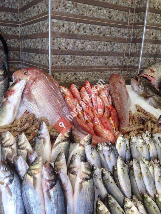 Balıkçı Barınağı-Balık Market Pişirici-Restorant