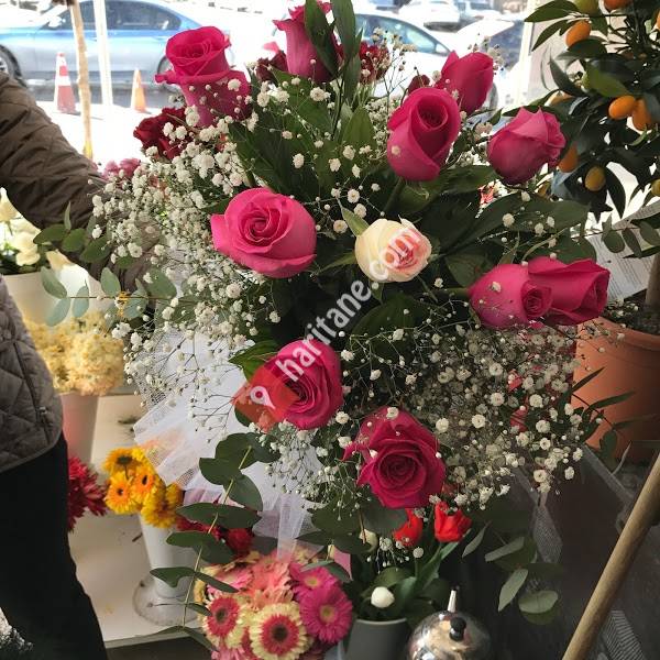 Barış Çiçekcilik