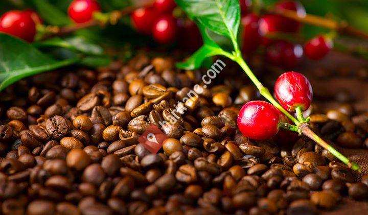 Batteel Coffee- Turkey