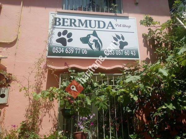 Bermuda PetShop