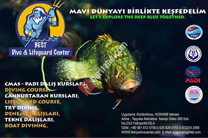 Best Dive and Lifequard Center