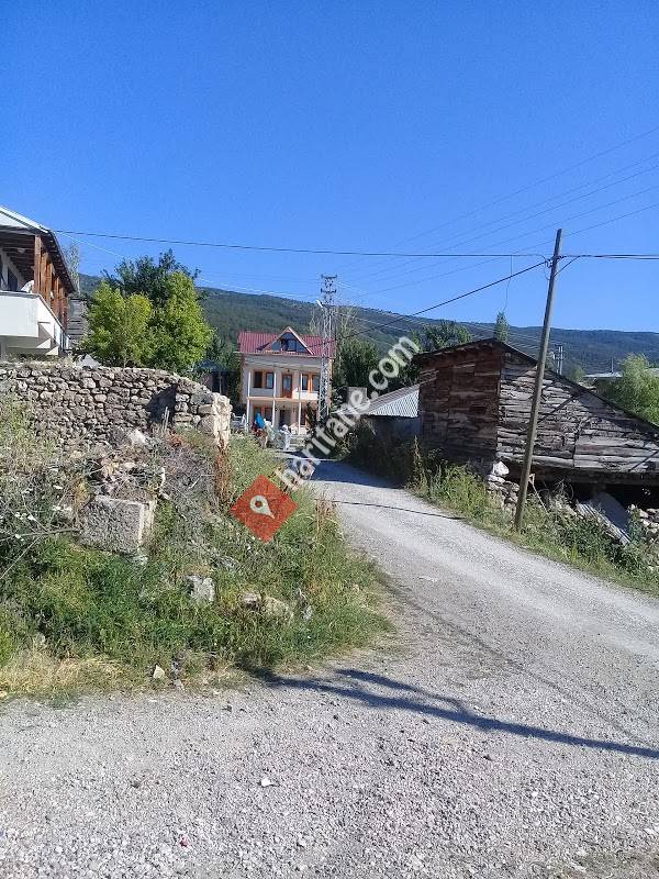 Biçer Köyü Muhtarlığı