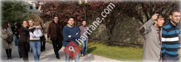 BIM - Bilkent Üniversitesi - İşletme Bilgi Yönetimi Bölümü