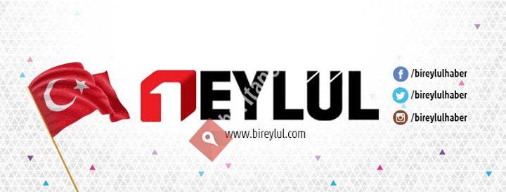 Bireylul.com