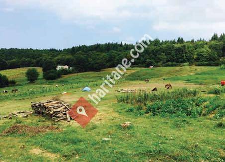 Bizim Çiftlik Doğal Köy Ürünleri