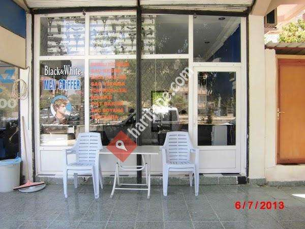 Black&white erkek berberi