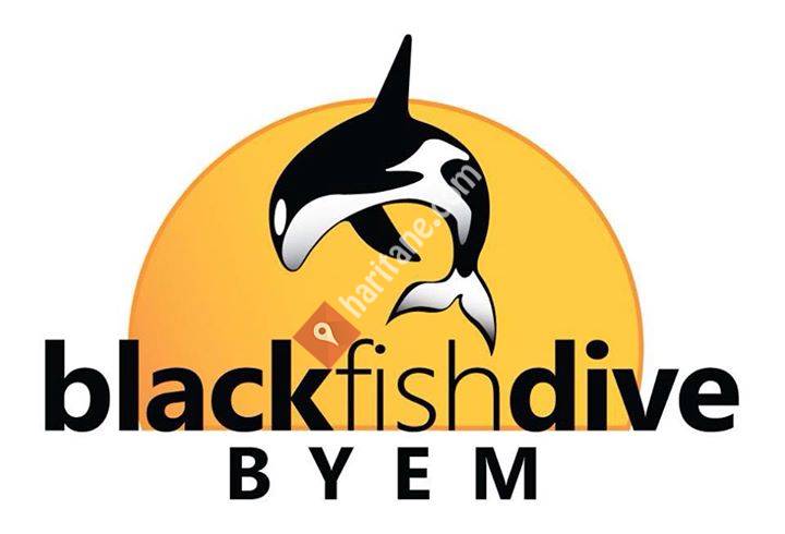 Blackfish Dive