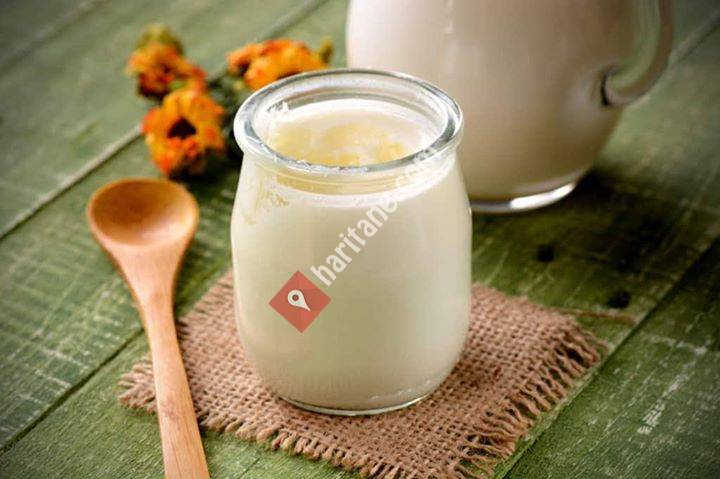 Bodrum Kefir