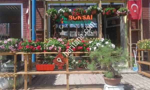 Bonsai Çiçekçilik