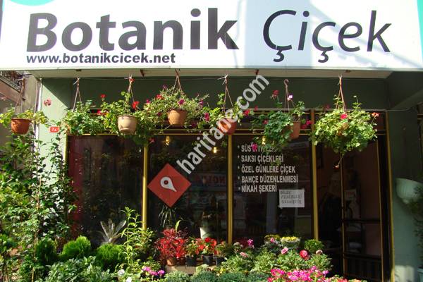 Botanik Çiçek KDZ. Ereğli / Zonguldak