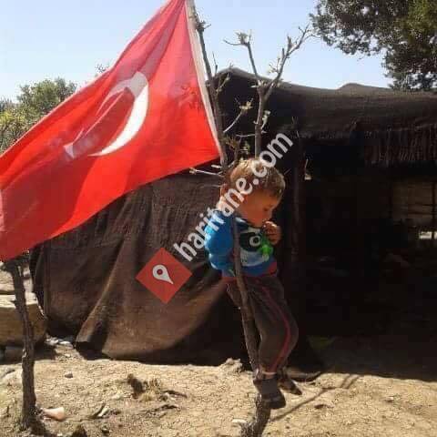 Çameli Yörük Türkmen Derneği