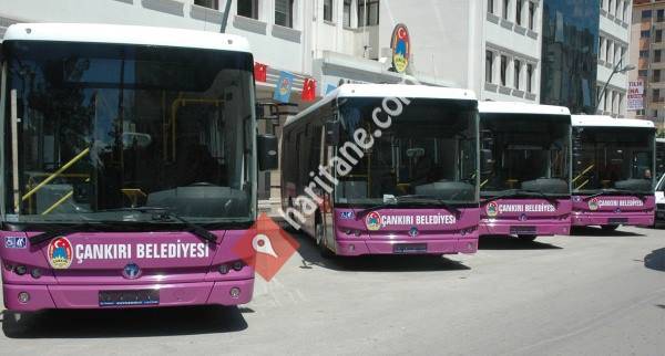 Çankiri Belediyesi Özel Halk Otobüsleri - Akmer Turizm