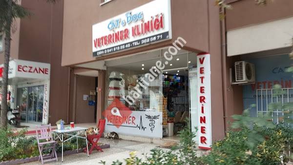Cat & Dog Veteriner Klinigi