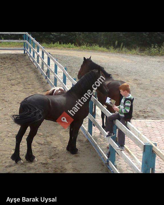 Çaykara Binicilik Kulübü