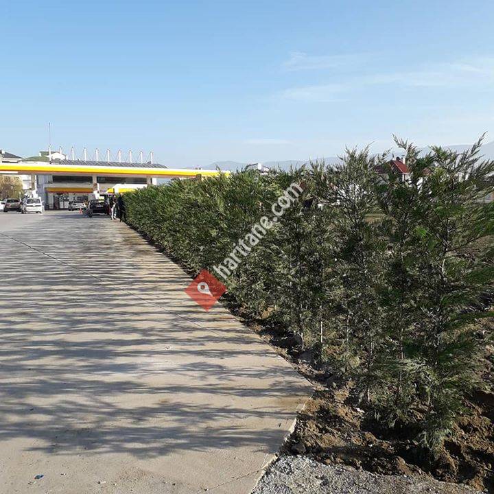 CEMRE Fidan, Peyzaj ve bahçe düzenleme