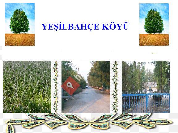 Ceyhan Yeşilbahçe Köyü