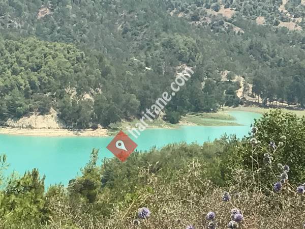 Çukurova Üniversitesi İktisadi Ve İdari Bilimler Fakültesi
