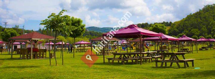 Cumhuriyet Park Piknik Mangal